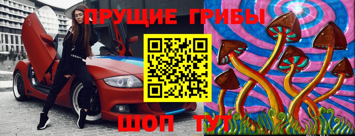 Псилоцибиновые грибы прущие грибы Салехард
